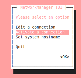 connecting to the vpn with nmtui